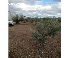 Finca rustica en Venta en Coín, Málaga