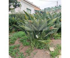 Parcela en Venta en Las Palmas de Gran Canaria, Las Palmas