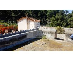 Finca rustica en Venta en Arucas, Las Palmas
