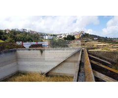 Finca rustica en Venta en Arucas, Las Palmas