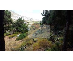 Finca rustica en Venta en Arucas, Las Palmas