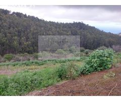 Finca rustica en Venta en Montaña Alta, Las Palmas
