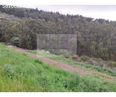 Finca rustica en Venta en Montaña Alta, Las Palmas
