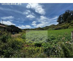 Finca rustica en Venta en Santa María de Guía de Gran Canaria, Las Palmas