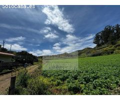 Finca rustica en Venta en Santa María de Guía de Gran Canaria, Las Palmas