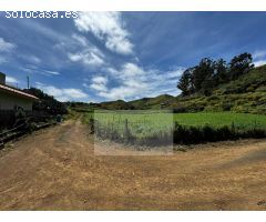 Finca rustica en Venta en Santa María de Guía de Gran Canaria, Las Palmas