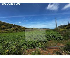 Finca rustica en Venta en Santa María de Guía de Gran Canaria, Las Palmas
