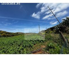 Finca rustica en Venta en Santa María de Guía de Gran Canaria, Las Palmas