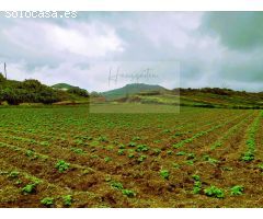 Finca rustica en Venta en Santa María de Guía de Gran Canaria, Las Palmas