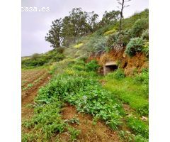 Finca rustica en Venta en Santa María de Guía de Gran Canaria, Las Palmas