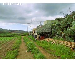 Finca rustica en Venta en Santa María de Guía de Gran Canaria, Las Palmas