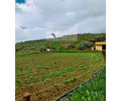 Finca rustica en Venta en Santa María de Guía de Gran Canaria, Las Palmas