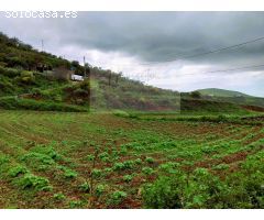 Finca rustica en Venta en Santa María de Guía de Gran Canaria, Las Palmas