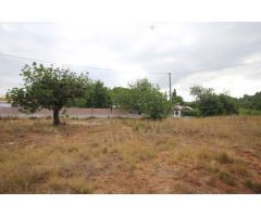 SUELO RÚSTICO EN VENTA (SOLAR)