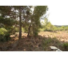 SUELO RÚSTICO EN VENTA (MASIA PAVIA TORRENT)