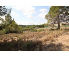 SUELO RÚSTICO EN VENTA (MASIA PAVIA TORRENT)