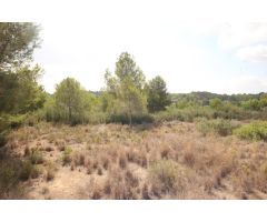 SUELO RÚSTICO EN VENTA (MASIA PAVIA TORRENT)