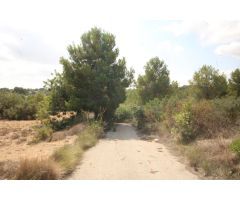 SUELO RÚSTICO EN VENTA (MASIA PAVIA TORRENT)