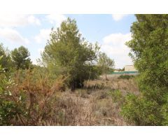 SUELO RÚSTICO EN VENTA (MASIA PAVIA TORRENT)