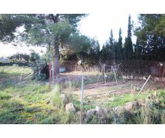 CHALET CON AMPLIA PARCELA EN VENTA URB. COLINA DE VENTA CABRERA