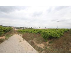 SE VENDE CAMPO USTICO DE NARANJOS EN TORRENT