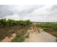 SE VENDE CAMPO USTICO DE NARANJOS EN TORRENT