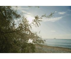 Excelentes piso en primera linea a estrenar, con las mejores vistas al Mar Mediterráneo