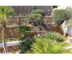Exclusivas Villas de Lujo Ibiza Style frente al Mar · PORTET, Moraira | 4 dorm · Luxury LifeStyle