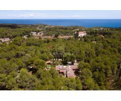 VILLA CA ANTONI - FINCA MEDITERRANEA EN EL CABO SAN ANTONIO, JAVEA ALICANTE