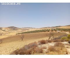 Finca en venta