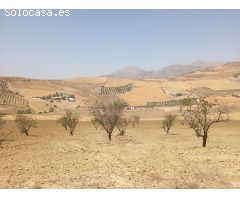 Finca en venta