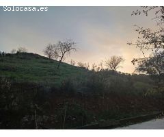 Finca en venta