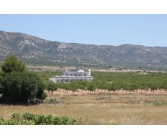 Chalet en Venta en Pinós, el/Pinoso, Alicante
