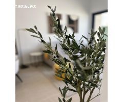 Bungalow en Venta en San Fulgencio, Alicante