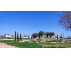 Atico en Venta en Torre-Pacheco, Murcia