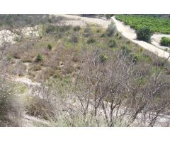 Terreno rural en Venta en Orihuela, Alicante