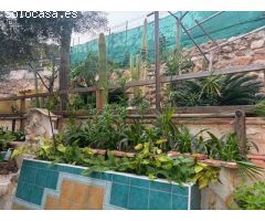 REF.- 89 - Chalet pareado en venta en Urbanización Cabo Cervera - Torrevieja