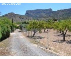 REF. 111 – Casa de Campo con Terreno y Árboles Frutales – Petrer