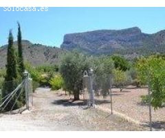 REF. 111 – Casa de Campo con Terreno y Árboles Frutales – Petrer