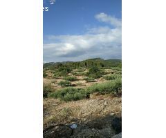 Finca Rústica de 17,61 hectáreas con masia