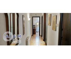 Edifidio con local y vivienda dúplex en carrer Església