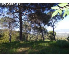 Parcela en venta en Palafolls – Ciutat Jardí