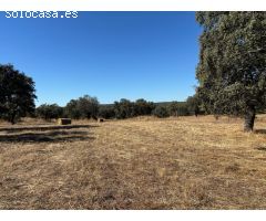 ¡Venta de Finca Agrícola y Ganadera!