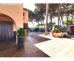 Chalet independiente  con piscina en los Pinos