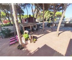 Chalet independiente  con piscina en los Pinos