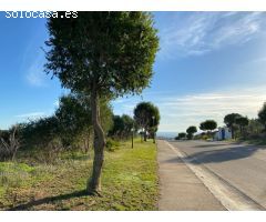 Parcela en La Reserva de Sotogrande