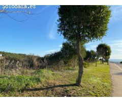 Parcela en La Reserva de Sotogrande