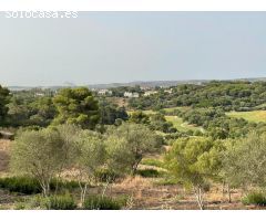 The Collection- Mediterraneo 8