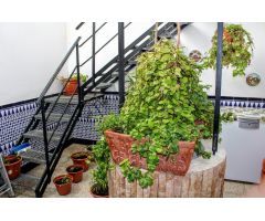 CASA DE UNA PLANTA EN ZONA ESTE