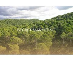 VENTA DE EXCLUSIVA VILLA DE LUJO EN COSTA D´EN BLANES - MALLORCA